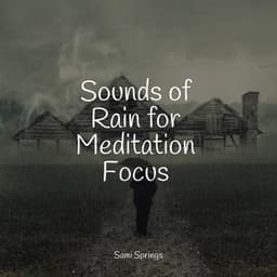 Sounds of Rain for Meditation Focus - Rain Spa
