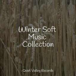 Winter Soft Music Collection - Sleeping Music