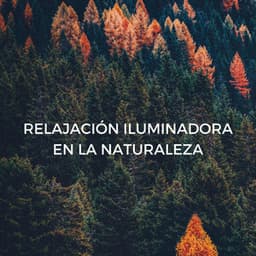 Relajación Iluminadora En La Naturaleza - Naturaleza 101