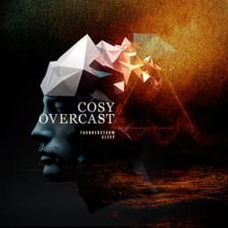 Cosy Overcast - Thunderstorm Sleep