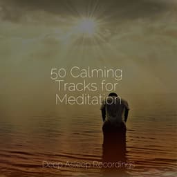 50 Calming Tracks for Meditation - Baby Sleep Lullaby Academy