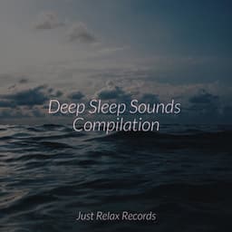Deep Sleep Sounds Compilation - Chakra Balancing Sound Therapy