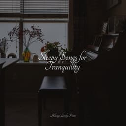 Sleepy Songs for Tranquility - Piano Music for Work