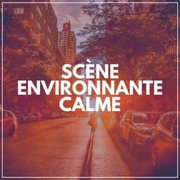 Scène Environnante Calme - Zen Ambiance D'eau Calme
