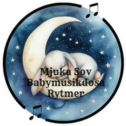 Mjuka Sov Babymusikdosa Rytmer - Bebis Söt Vaggvisa Projekt Zzzz