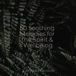 50 Soothing Melodies for the Spirit & Wellbeing - Kinderliederbande
