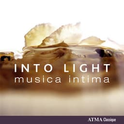Into Light - musica intima