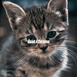 Quiet Afternoon - Chillout Jazz Deluxe