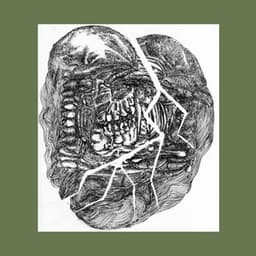 No Answer: Lower Floors - Wolf Eyes