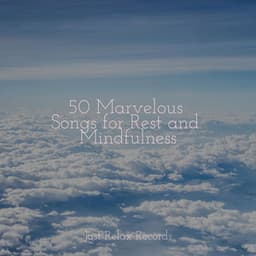 50 Marvelous Songs for Rest and Mindfulness - Relaxed Minds