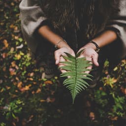 Sounds of Nature | Yoga | Spa Music | Spa Music - Amazing Spa Music