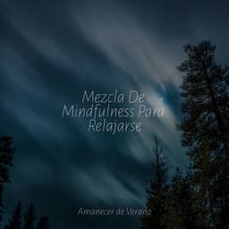 Mezcla De Mindfulness Para Relajarse - Musica de Piano Escuela