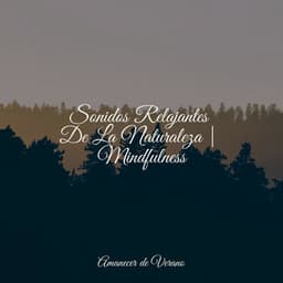 Sonidos Relajantes De La Naturaleza | Mindfulness - Mantra para Meditar