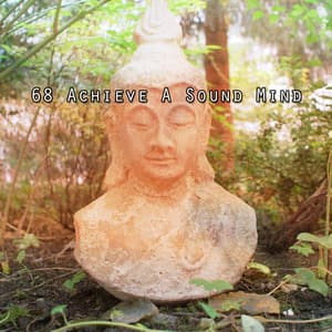 68 Achieve A Sound Mind - Nu Meditation Music