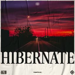 Hibernate - Deep Sleep Music for Insomnia