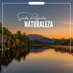 Sonidos Relajantes Naturaleza - Sonidos De Pajaros