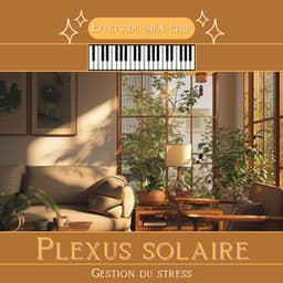 Plexus solaire - Gestion du stress - Effets de bien-être