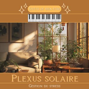 Plexus solaire - Gestion du stress - Effets de bien-être