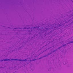 Cultivated Background Music for Lounging Luxury - Musica Hoteles