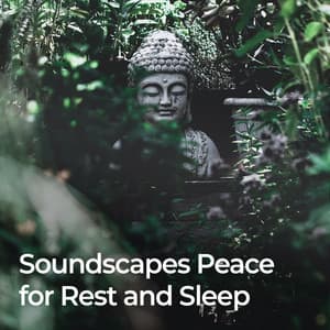 Soundscapes of Peace for Rest and Sleep - Natural Sounds