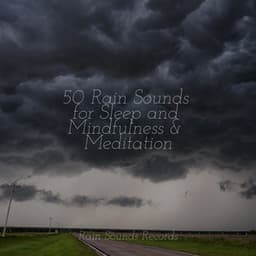 50 Rain Sounds for Sleep and Mindfulness & Meditation - Musica de Relajación Academy