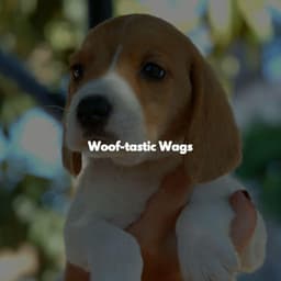 Woof-tastic Wags - Quiet Dinner Music