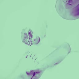 Feelings for Upcoming Times - Manhattan Jazz Band