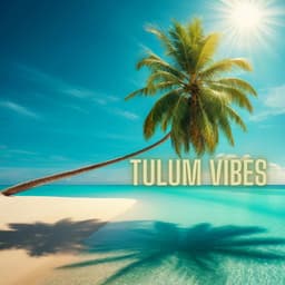 Tulum Vibes - Dance Hits 2014