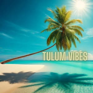 Tulum Vibes - Dance Hits 2014