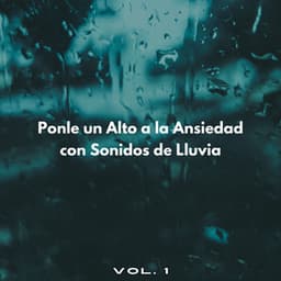 Ponle Un Alto A La Ansiedad Con Sonidos De Lluvia Vol. 1 - Efectos especiales de sonidos de lluvia