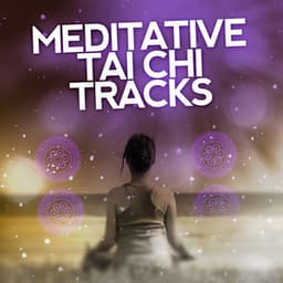 Meditative Tai Chi Tracks - Tai Chi