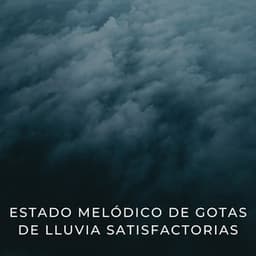 Estado Melódico De Gotas De Lluvia Satisfactorias - Don Lluvia