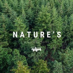 Nature’s Nurturing Notes - Piano Music Spa