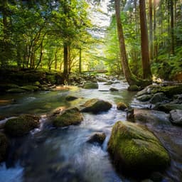 Music For Relaxing And Surrendering To The Flow Of Peace - Perfect Relaxing Music