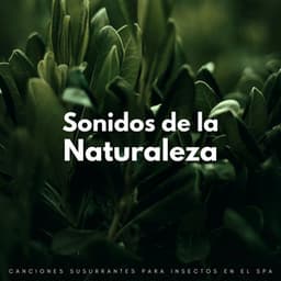 Sonidos De La Naturaleza: Canciones Susurrantes Para Insectos En El Spa - La naturaleza llama