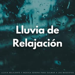 Lluvia De Relajación: Lluvia Relajante Y Música Serena Para Calmar A Las Mascotas - Efectos especiales de sonidos de lluvia