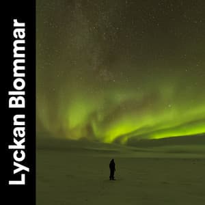 Lyckan Blommar - Avslappnande Meditation Akademi