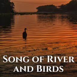 Song of River and Birds - Sleep Noise / Sleepy Noise
