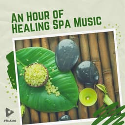 An Hour of Healing Spa Music - #Relaxing