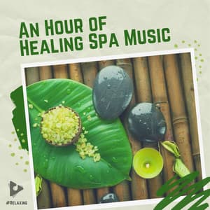 An Hour of Healing Spa Music - #Relaxing