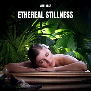 Ethereal Stillness: Spa Music - Wellness