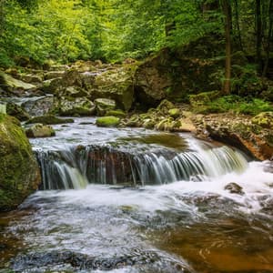Serenity by Stream: Relaxation's Peaceful Oasis - Therapeutic Reality