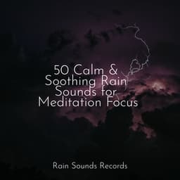 50 Calm & Soothing Rain Sounds for Meditation Focus - Musica Para Dormir y Sonidos de la Naturaleza