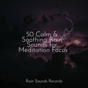 50 Calm & Soothing Rain Sounds for Meditation Focus - Musica Para Dormir y Sonidos de la Naturaleza