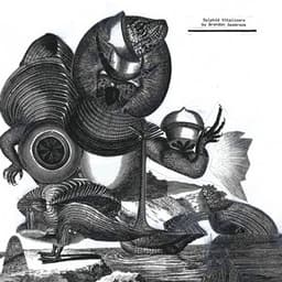 Sylphid Vitalizers - Brandon Seabrook