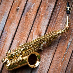 Cats' Lullaby: Tranquil Orchestra Sounds for Sleep - Jason Humphries