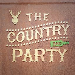 The Country Party - American Country Hits