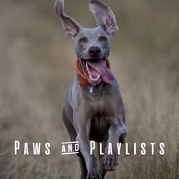 Paws & Playlists: Music for Happy Dogs - Dog Anxiety Music