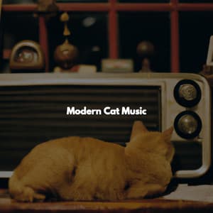 Modern Cat Music - Happy Coffee Shop Music