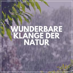 Wunderbare Klänge der Natur - Regen zum Schlafen